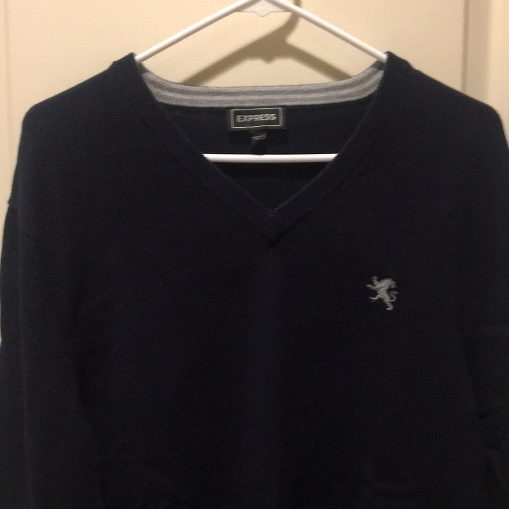 Express Mens Blue V-Neck Pullover Sweater long sleeves Size L 100% cotton